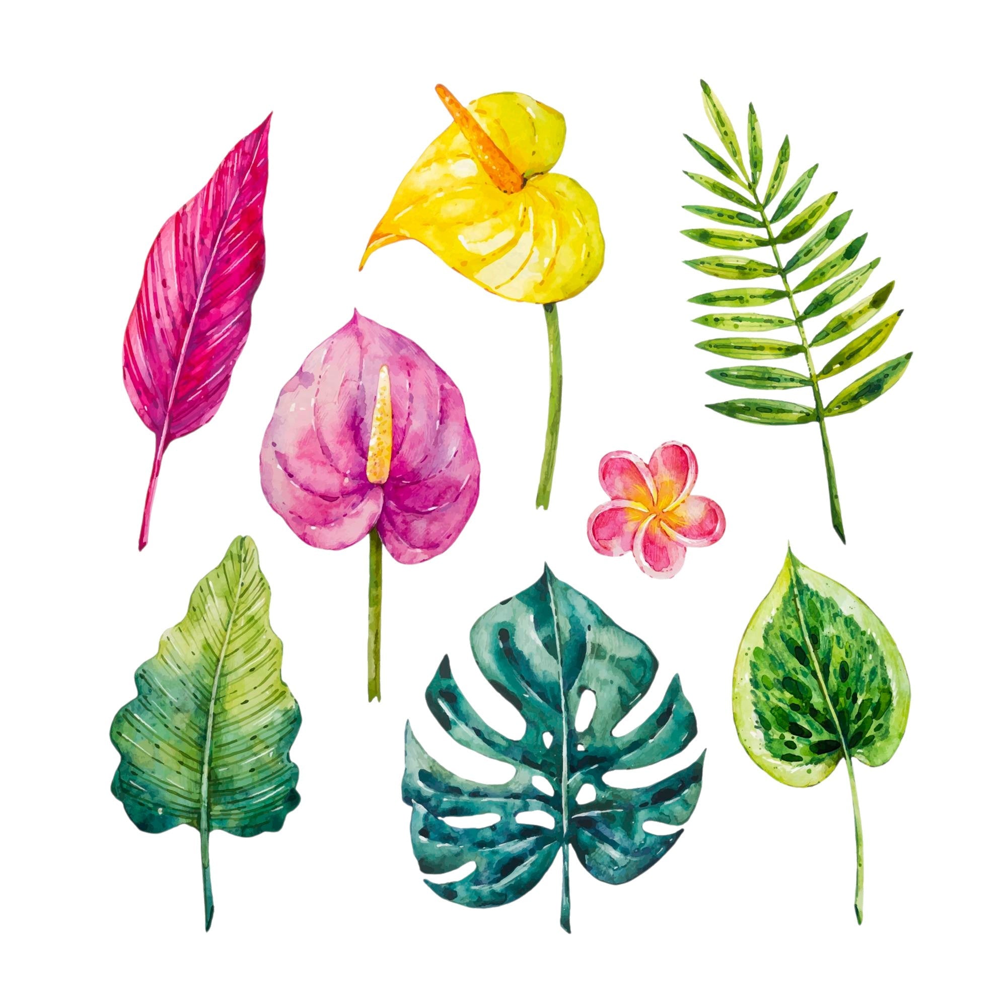 All Plants